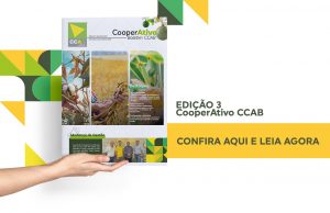 CooperAtivo CCAB | Edição 3