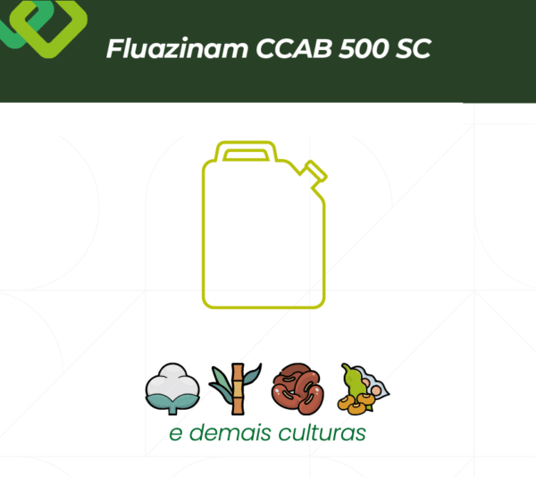 Fluazinam CCAB 500 SC