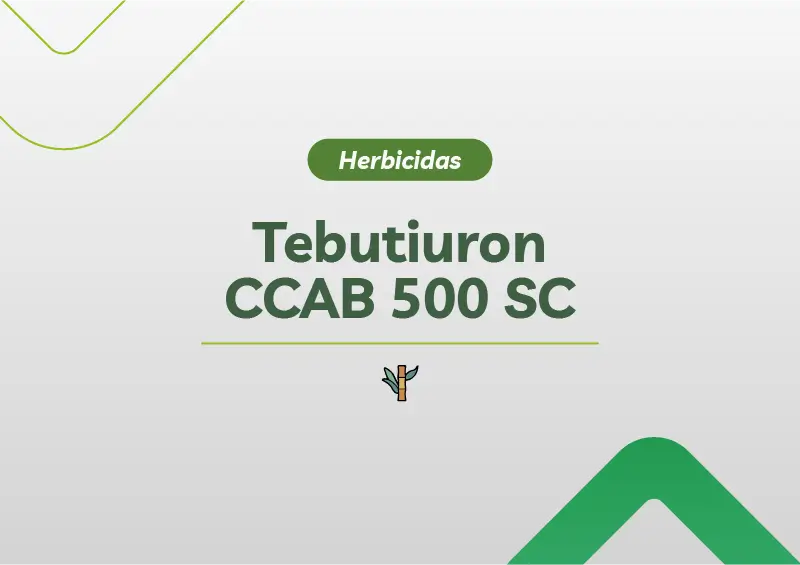 TEBUTIURON CCAB 500 SC